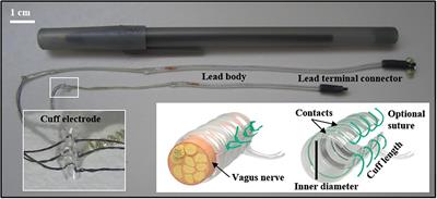 Vagus Nerve Stimulation in Rodent Models: An Overview of Technical Considerations